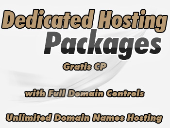 Bargain dedicated server hosting service
